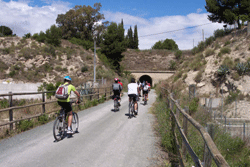 Ruta