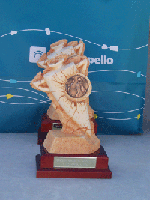 Trofeo  Nav